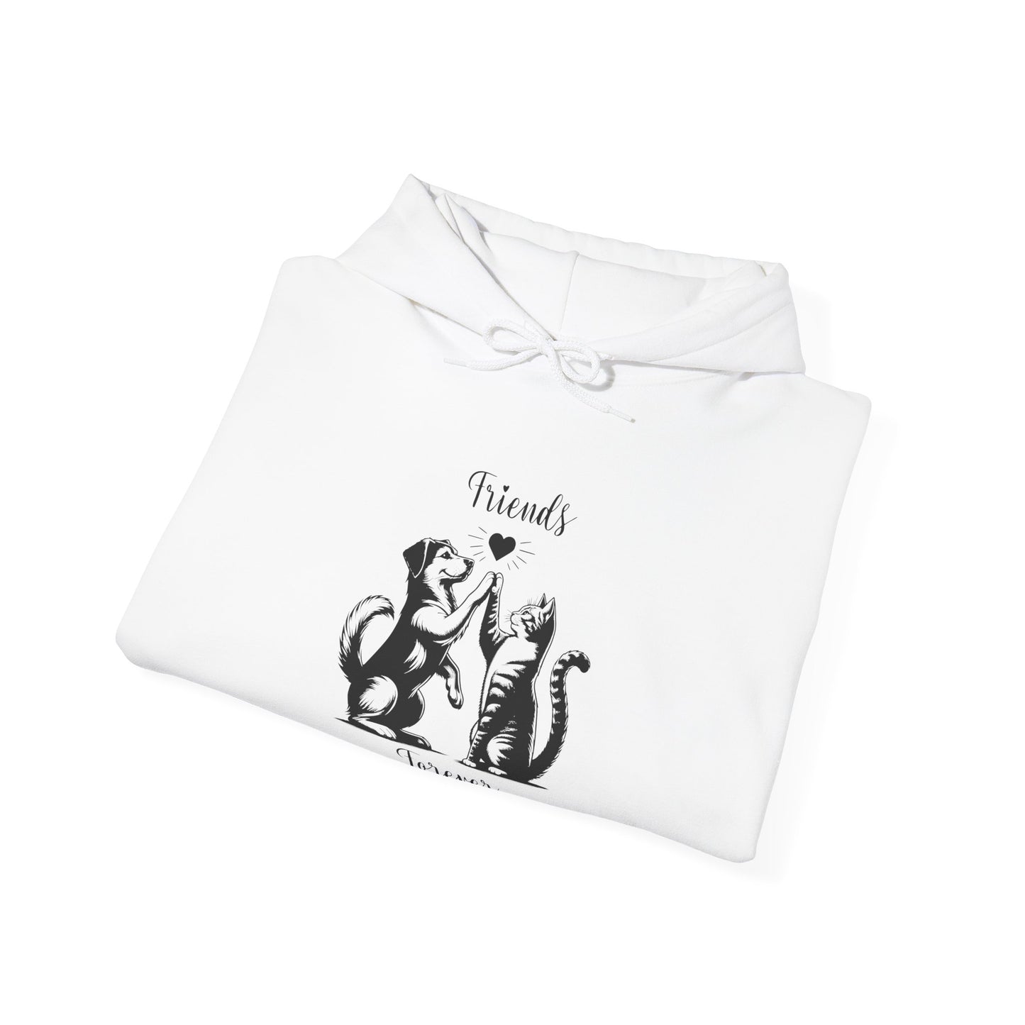 Sweat à capuche Ami pour toujours